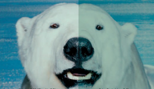 佰利乐·(中国区)有限公司官网