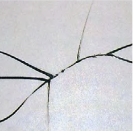 佰利乐·(中国区)有限公司官网