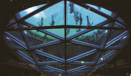 佰利乐·(中国区)有限公司官网