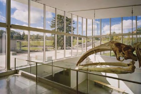 佰利乐·(中国区)有限公司官网